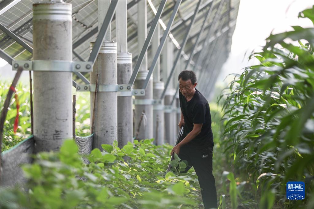 不朽情缘游戏下载